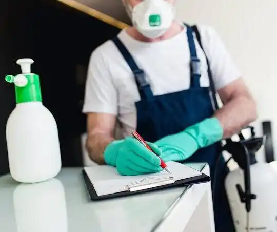 pest control North Side Hill